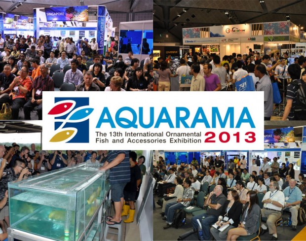 Hội chợ Aquarama tại Singapore về cá cảnh và các phụ kiện chăm sóc