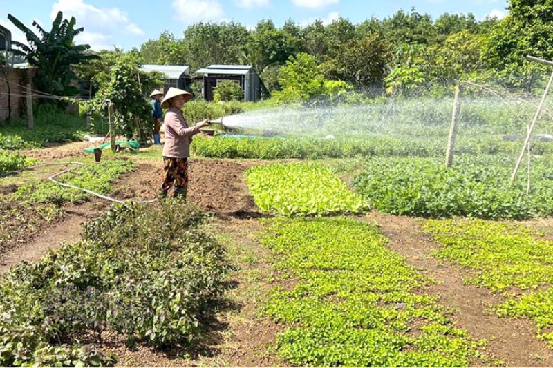 kinh-doanh-gi-o-nong-thon-1-1 Một số lưu ý giúp bạn kinh doanh ở nông thôn thành công