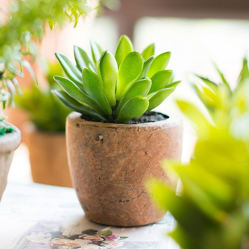 kinh-doanh-gi-voi-10-trieu-7 khởi nghiệp 10 triệu