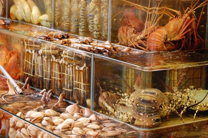 kinh-doanh-hai-san-co-lai-khong-3 Bảo quản hải sản tươi sống vẫn giữ được độ tươi và ngon