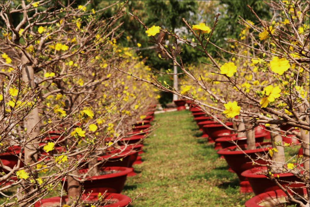 kinh-doanh-ngay-tet-2021-1 kinh doanh tết