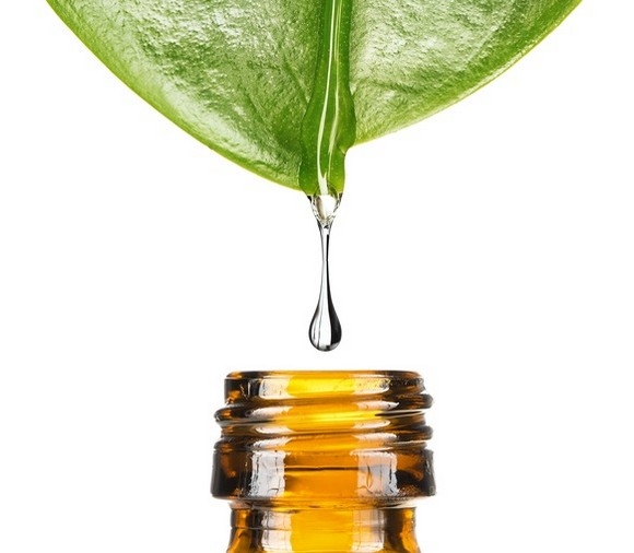 kinh-doanh-tai-nha-thong-minh-4 kinh doanh tại nhà thông minh