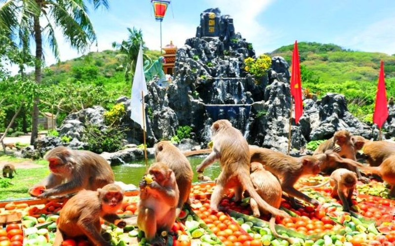 kinh-nghiem-du-lich-nha-trang Đến với đảo khỉ bạn sẽ được chơi đùa với những chú khỉ dễ thương