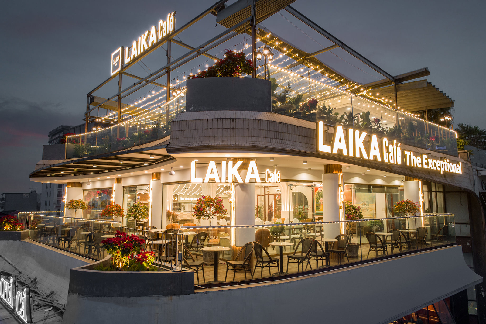 laika-cafe-1-1 cà phê laika