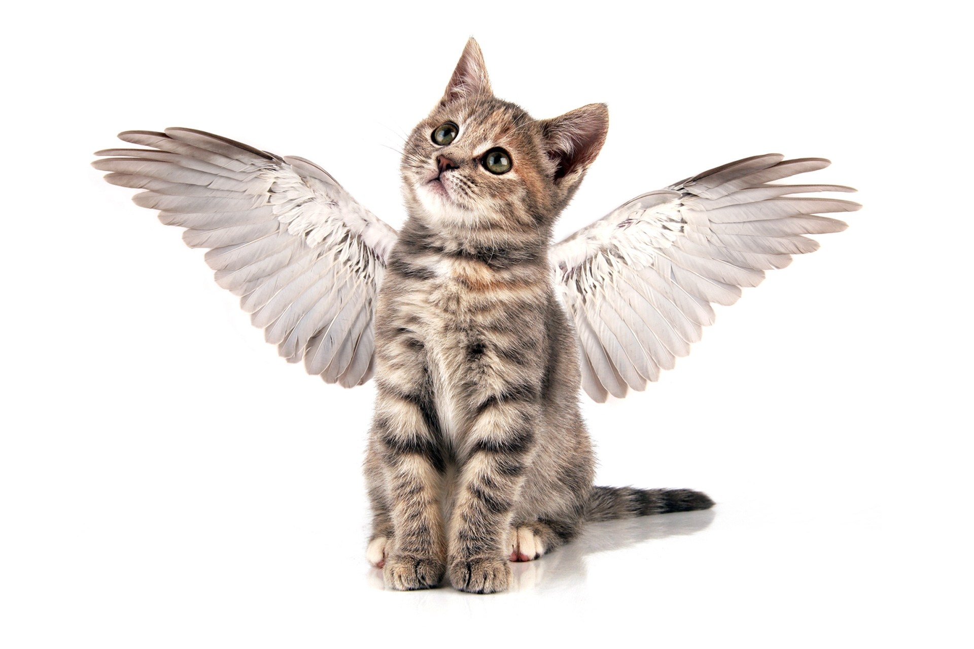 lam-the-nao-de-tim-nha-dau-tu-cho-y-tuong-kinh-doanh3 Bản thân bạn cũng là một nhà đầu tư