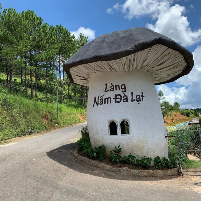 Review Làng Nấm Đà Lạt – Nơi chứa đựng những trải nghiệm tuyệt vời chưa từng có