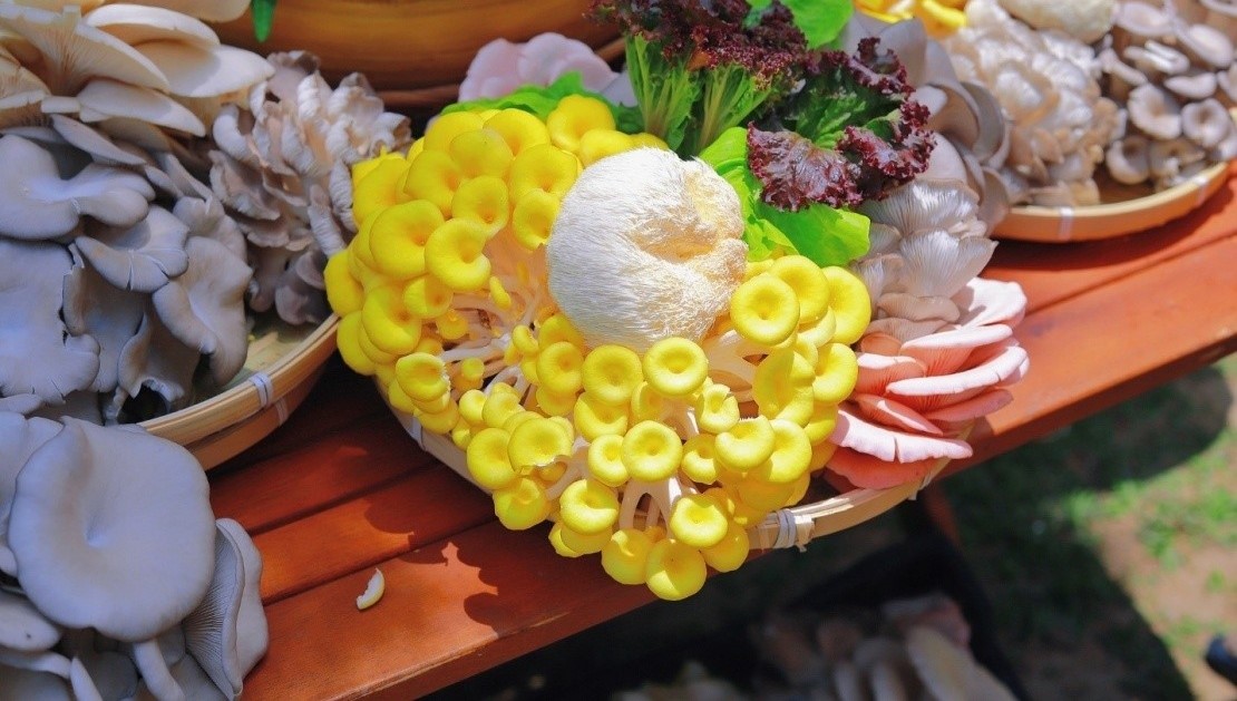 lang-nam-da-lat-5 thưởng thức món ăn tại làng nấm đà lạt