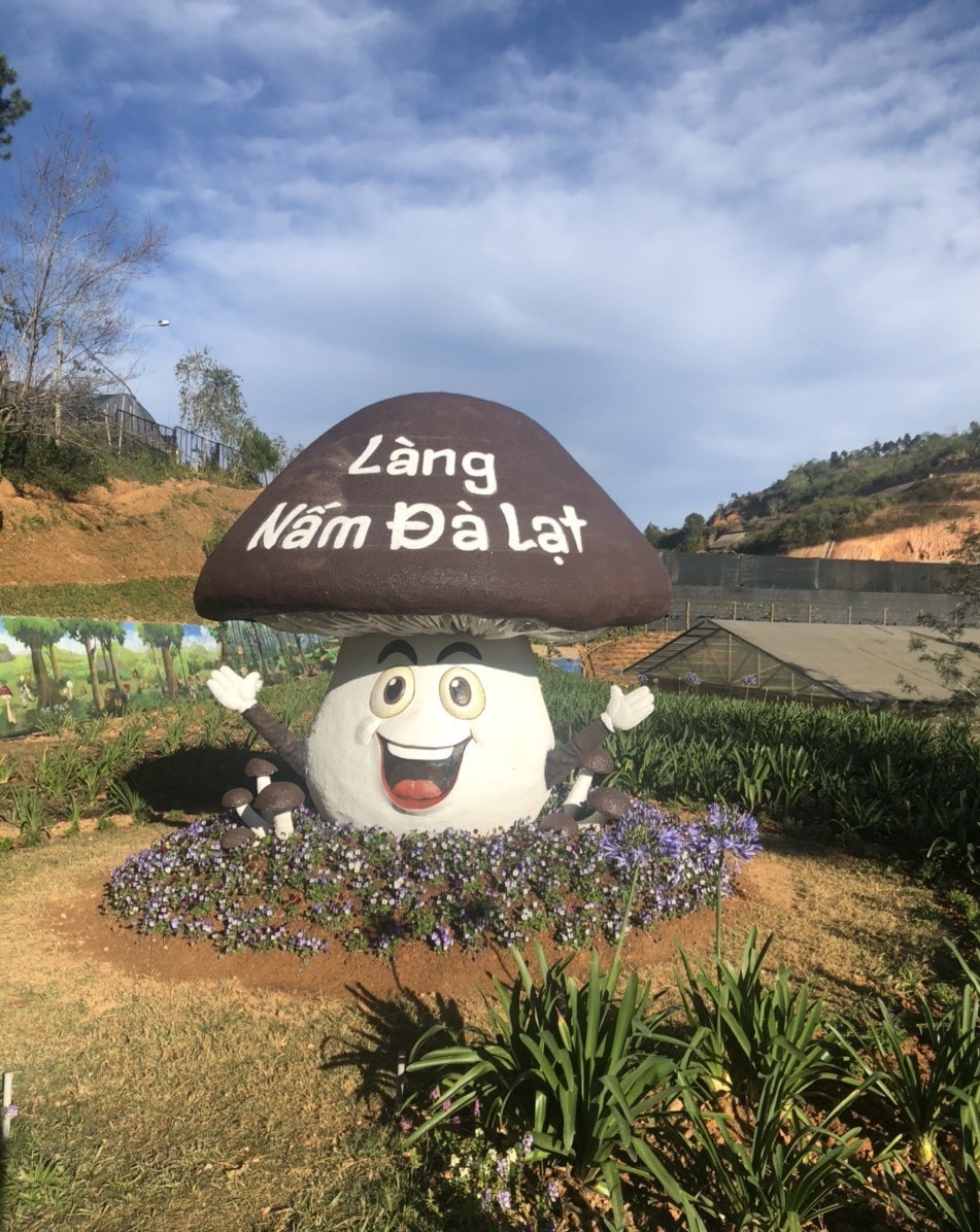 lang-nam-da-lat-8 giờ mở cửa và giá vé tham quan làng nấm đà lạt