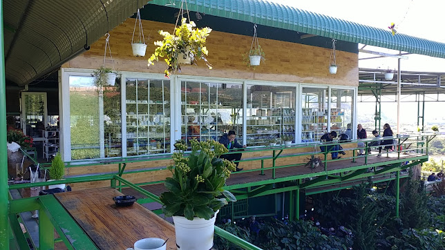lc3a0m20gc3ac20khi20c491e1babfn20mc3aa20linh20coffee mê linh coffee garden đà lạt