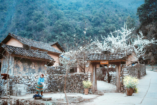 lc3a0ng20vc483n20hc3b3a20le1bba7ng20ce1baa9m