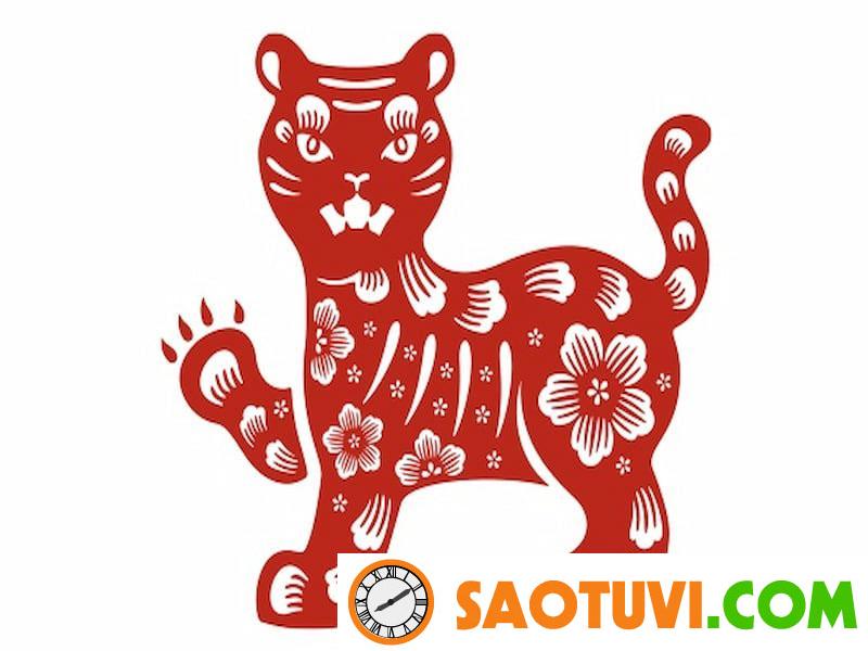 Gợi ý cách chọn nghề hợp tuổi cực chuẩn xác cho 12 con giáp mao 1
