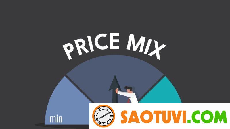 Marketing Mix Price