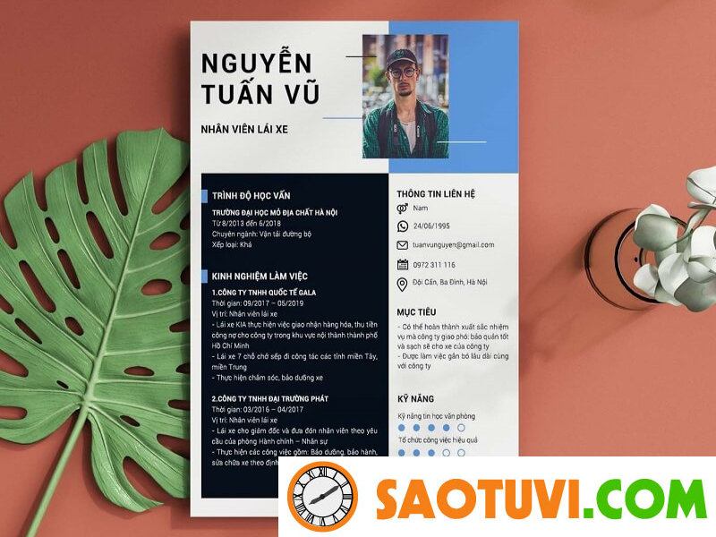 Tổng hợp những mẫu CV xin việc lái xe và cách viết đúng chuẩn Tham khảo ngay các mẫu CV xin việc lái xe tại saotuvi.com!
