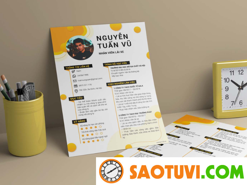 Tổng hợp những mẫu CV xin việc lái xe và cách viết đúng chuẩn Mẫu CV lái xe rõ ràng