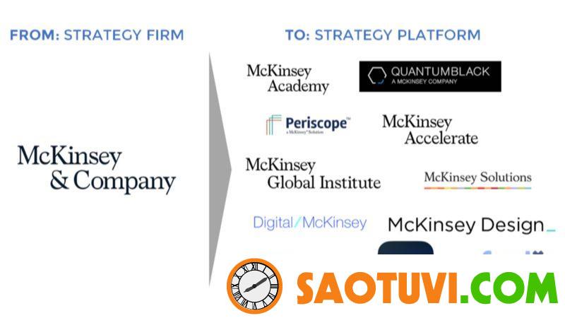 Các nền tảng của McKinsey