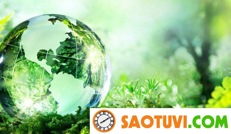 Cập nhật mức lương ngành quản lý tài nguyên môi trường mới nhất 2024 Tham khảo ngay mức lương của ngành quản lý tài nguyên môi trường