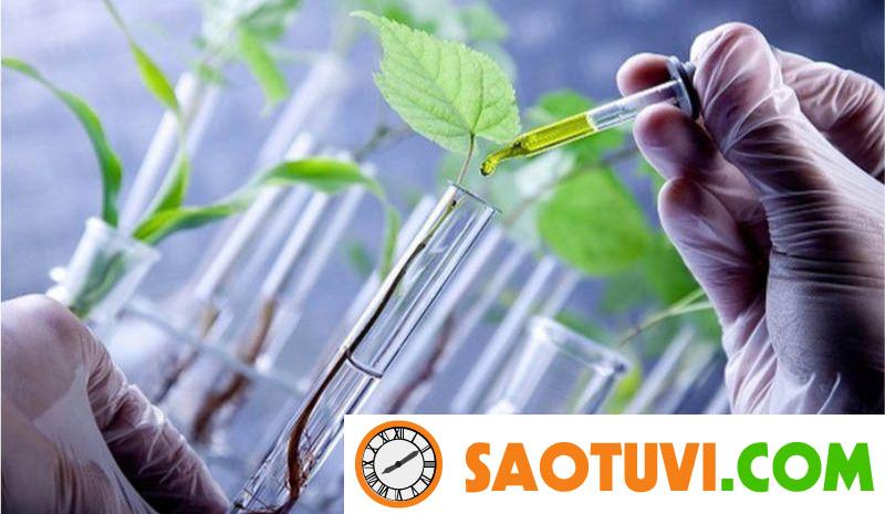 Cập nhật mức lương ngành quản lý tài nguyên môi trường mới nhất 2024 Ngành kỹ thuật môi trường đang rất cần nhiều nhân sự