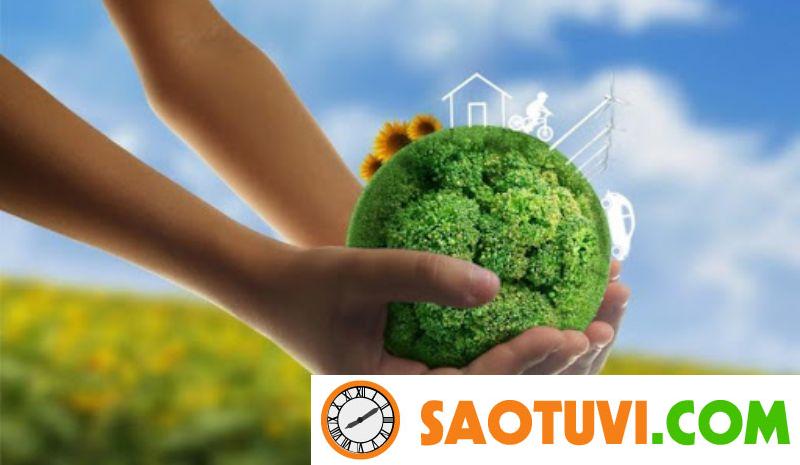 Cập nhật mức lương ngành quản lý tài nguyên môi trường mới nhất 2024 Quản lý môi trường sẽ lập kế hoạch để bảo vệ, hồi phục môi trường