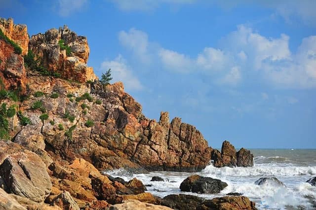 mui-vi-rong-6 mũi vi rồng