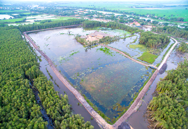 nhc3acn20trc3aan20cao20xue1bb91ng