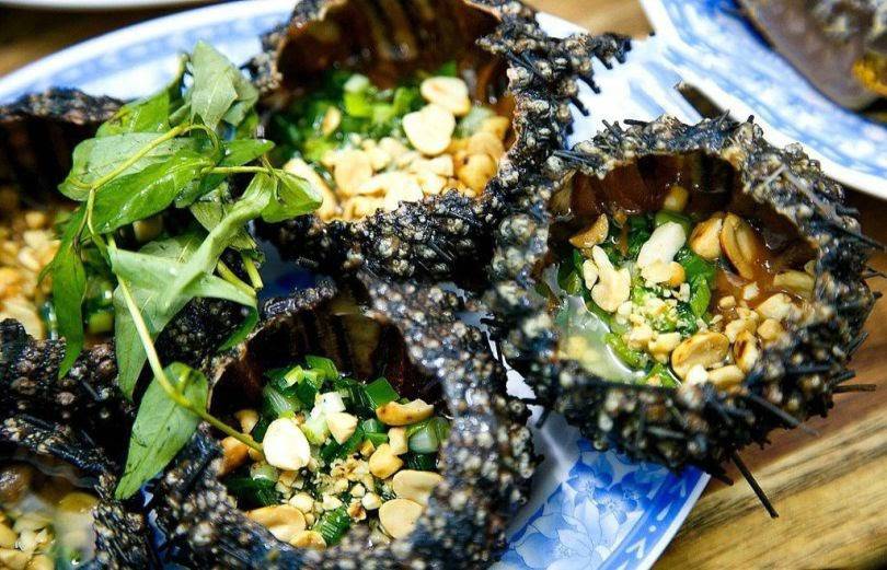 nhum-cau-gai Đặc sản Nam Du - Nhum cầu gai