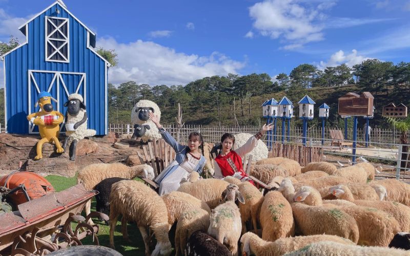 nong-trai-o-da-lat-frenzy-farm Đến nông trại cừu Frenzy Farm để được check-in với những chú cừu siêu đáng yêu