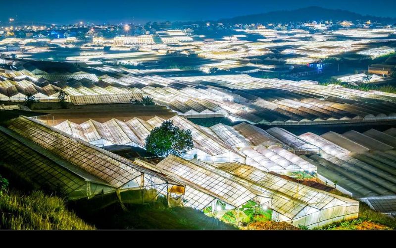 nong-trai-o-da-lat-trai-mat Trại Mát mang vẻ đẹp mộc mạc bình yên của cuộc sống bình yên nơi phố núi