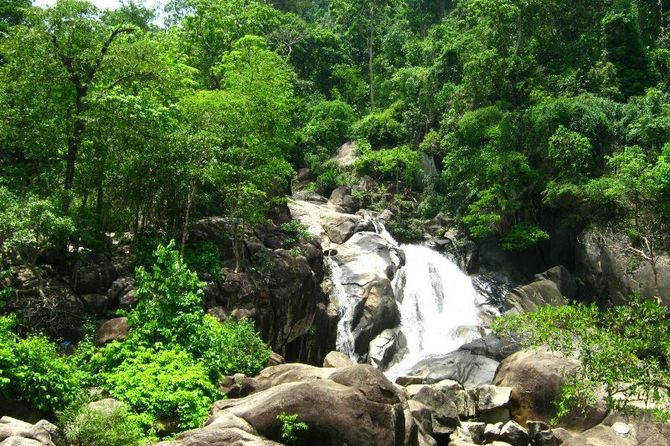 nui-ong-0-1 khu bảo tồn thiên nhiên núi ông