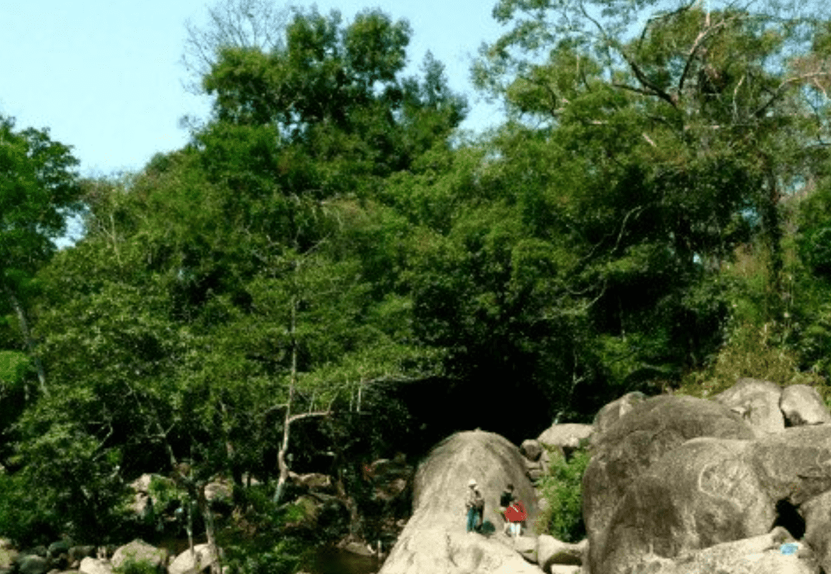 nui-ong-8 khu bảo tồn thiên nhiên núi ông