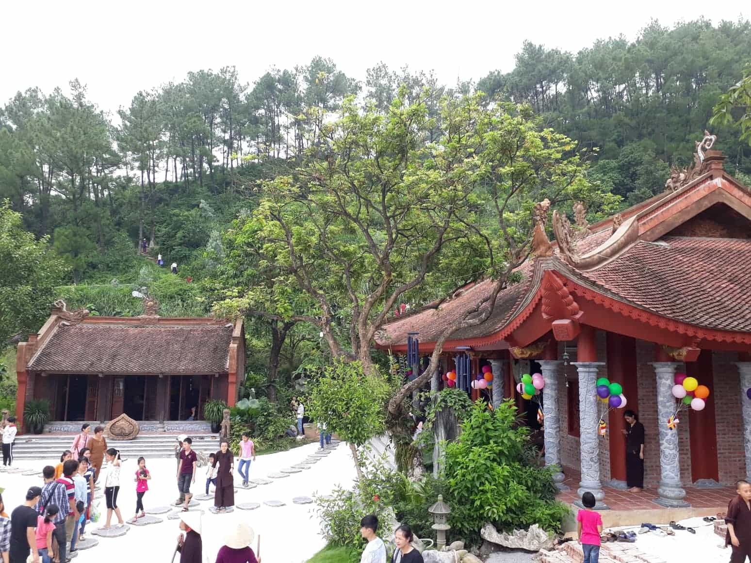 phi-lai-tu-3-min Sinh hoạt tại chùa Địa Tạng Phi Lai Tự