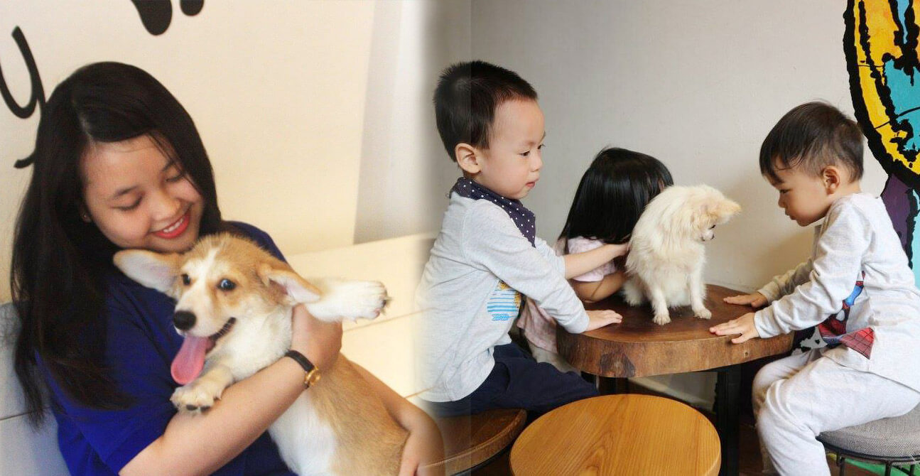 quang-cao-cafe-thu-cung thu hút khách hàng cho quán cafe thú cưng