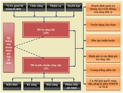 Quản trị bằng JD