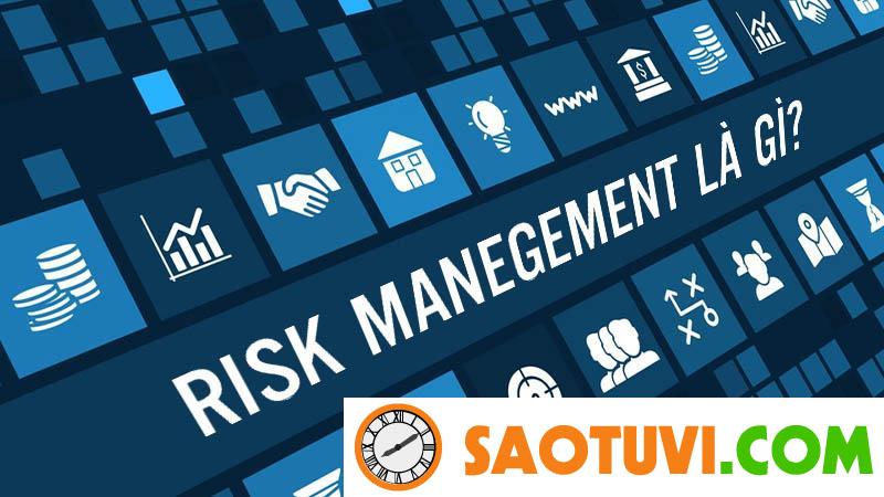 Risk Management là gì? Quy trình quản trị rủi ro trong tổ chức