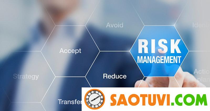 Risk Management là gì? Quy trình 7 bước quản trị rủi ro của doanh nghiệp 