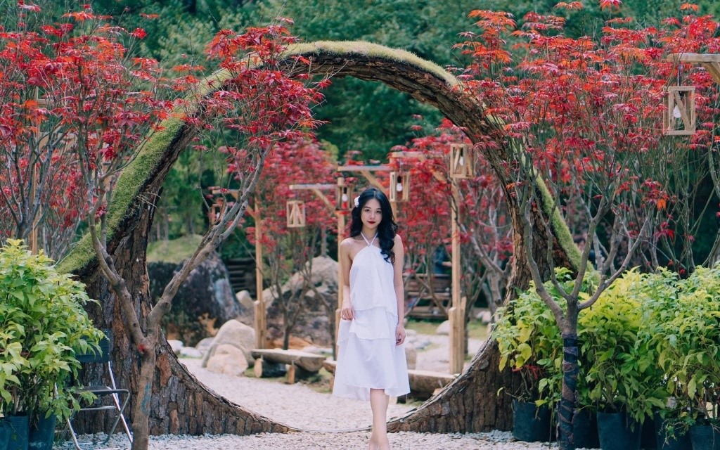 rung-la-phong-tai-suoi-mo1 quang cảnh rừng lá phong tại cafe suối mơ