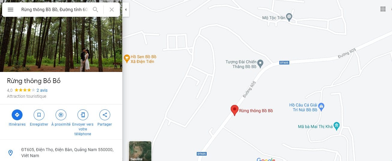 rung-thong-3-min Rừng thông Bồ Bồ trên gg.maps