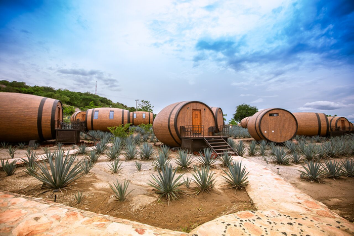 ruou-tequila tequila là gì