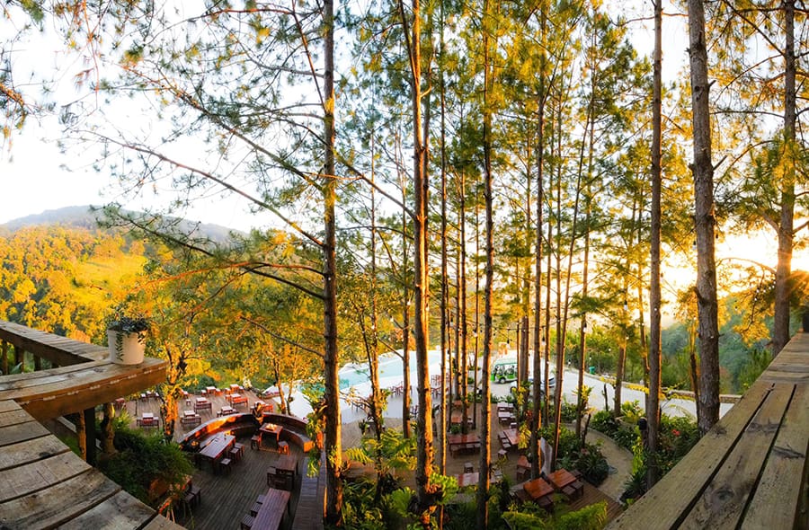 seven-t-coffee-dia-diem-trieu-like-min đà lạt cao nguyên