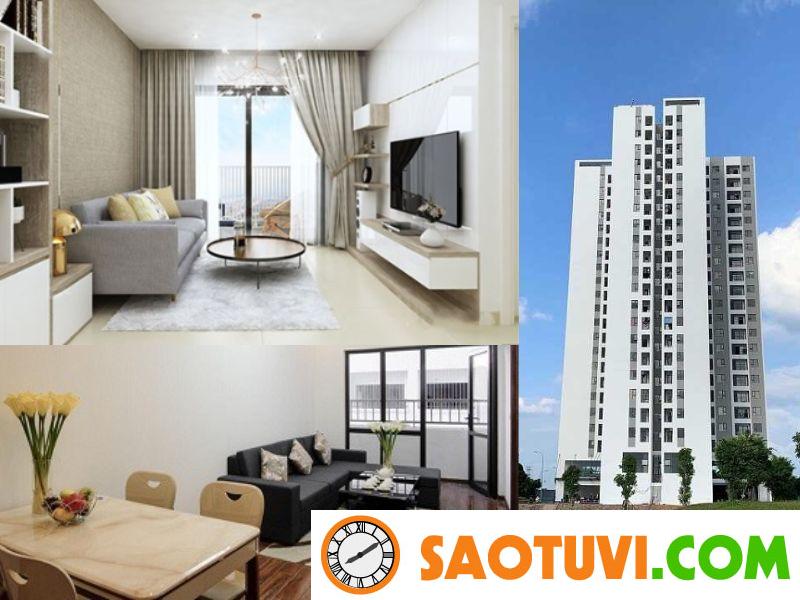Shophouse là gì? Tiềm năng đầu tư vào Shophouse hiện nay Sự khác nhau giữa shophouse và chung cư