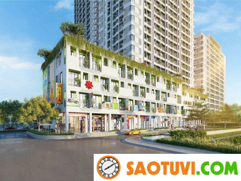 Shophouse là gì? Tiềm năng đầu tư vào Shophouse hiện nay Hạn chế về quyền sở hữu và thời hạn sử dụng