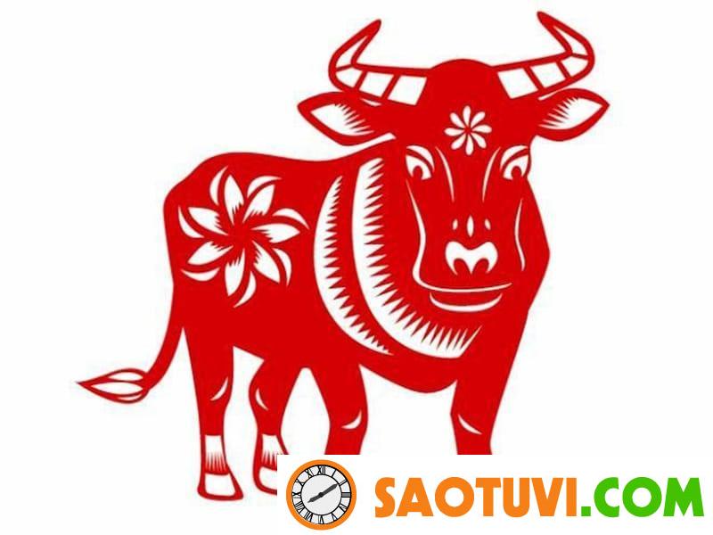 Tuổi Sửu sinh giờ nào, ngày nào, tháng nào để vận mệnh tốt đẹp?