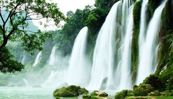 thc3a1c20be1baa3y20nhc3a1nh thác bảy nhánh