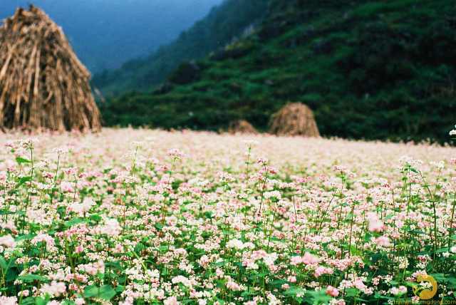 the1baa1ch20sc6a1n20the1baa7n