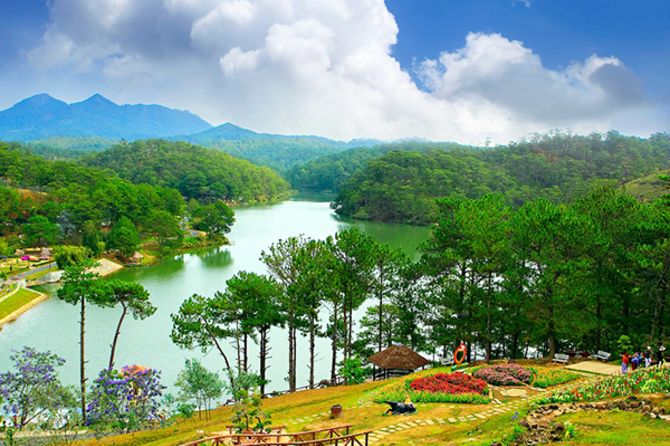 Thung Lũng Vàng Đà Lạt – Khám phá thiên đường check in sống ảo cực chill