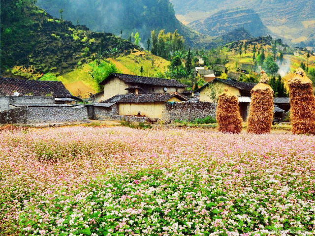 thung20lc5a9ng20se1bba7ng20le1baa3