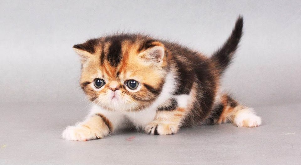 top-nghe-de-kiem-tien-nhat-hien-nay-2 nghề dễ kiếm tiền