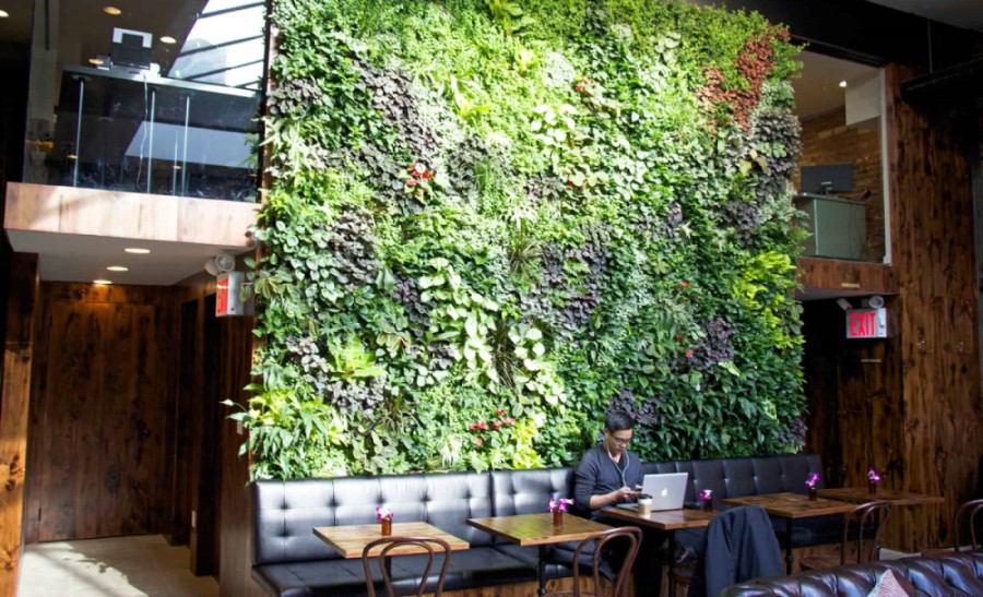 trang-tri-tuong-quan-cafe-bang-cay-xanh cây xanh tạo không gian thoáng mát, thoải mái cho quán cafe