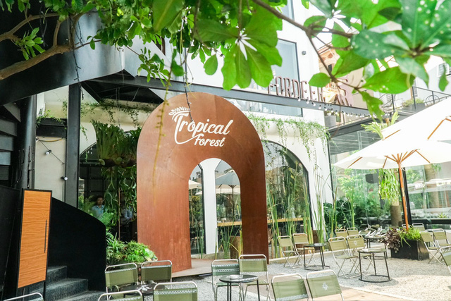 tropical-forest quán cafe view đẹp ở Hà Nội