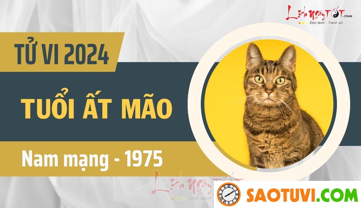 Tử Vi Tuổi Ất Mão 1975 Năm 2024 – Nam Mạng