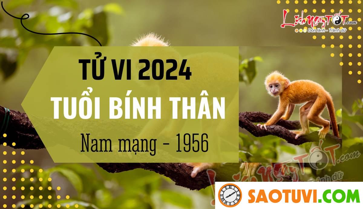 Tử Vi Tuổi Bính Thân 1956 Năm 2024 – Nam Mạng